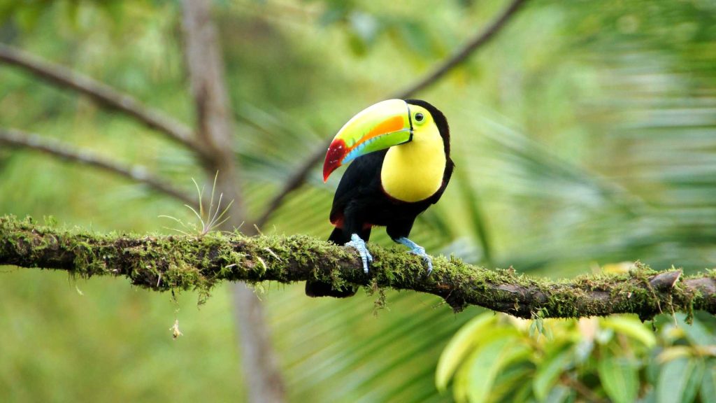 Costa Rica travel for seniors