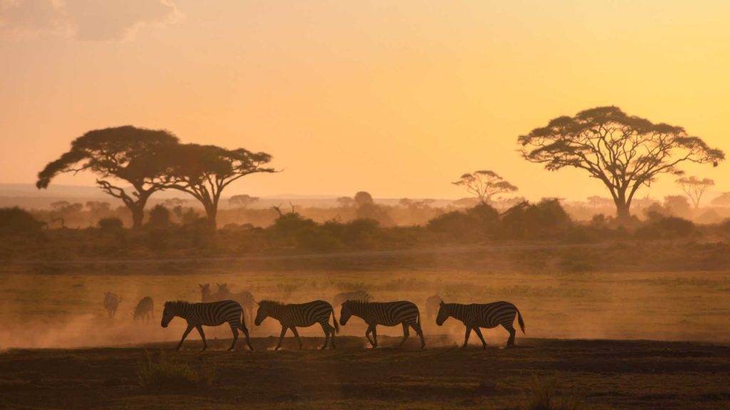 Kenya view